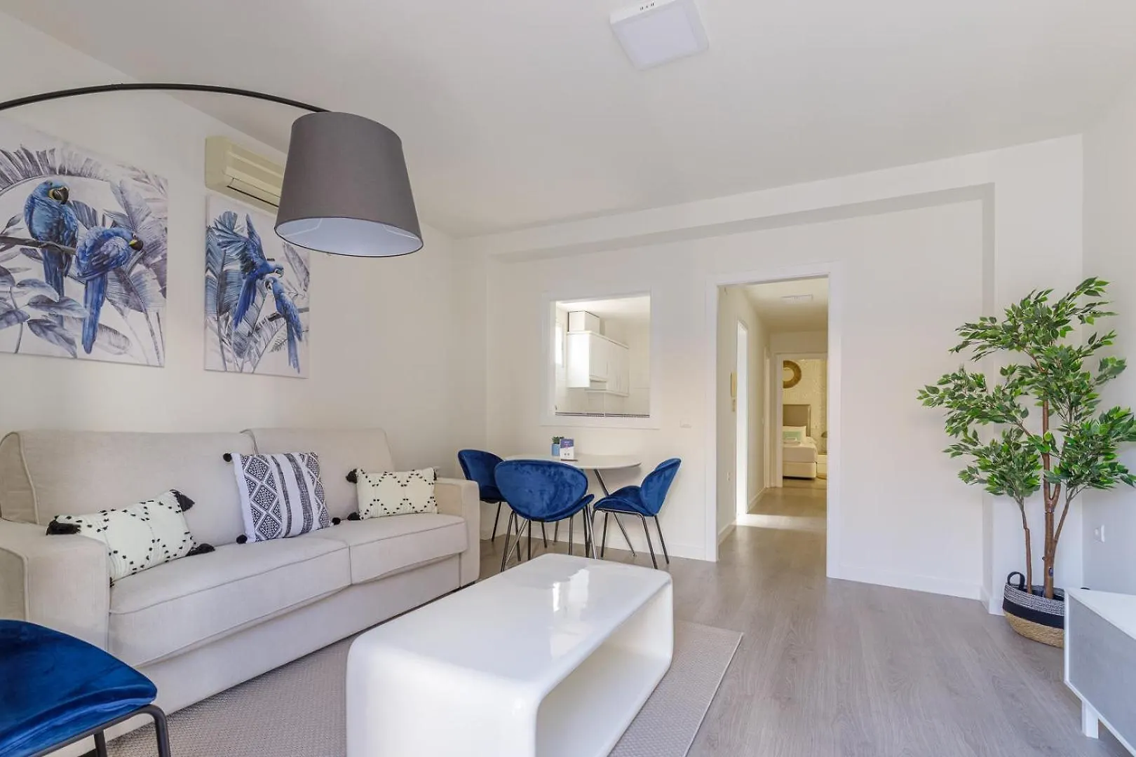 Casa Evi Apartment Malaga Spain