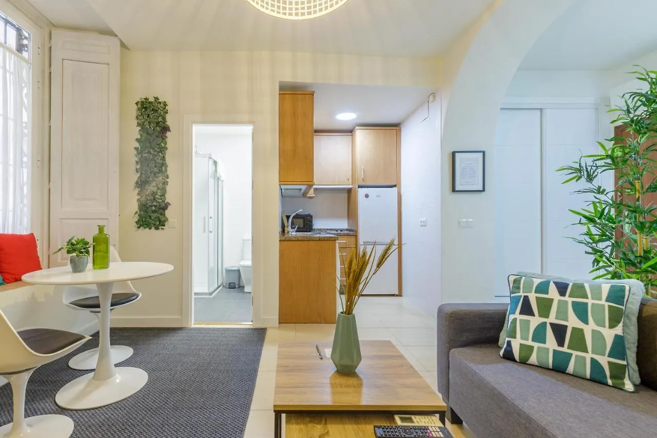 Casa Evi Apartment Malaga